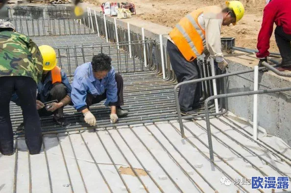 沈芯语与麻花传媒合作，共同打造全新娱乐项目，推动文化产业创新发展与多元化融合